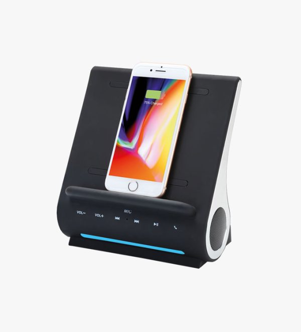 iPhone music dock 1