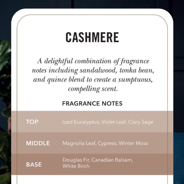 Cashmere