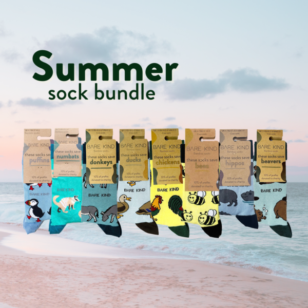 8 Blue Summer Collection | UK Adult 7-11