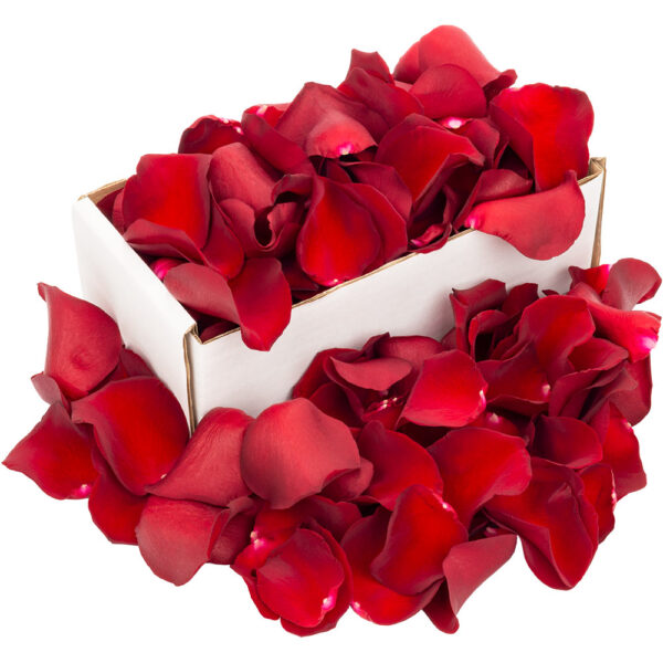 1 Box of Red Naomi Rose Petals