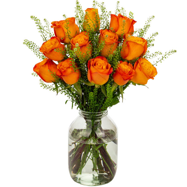 12 Orange Roses