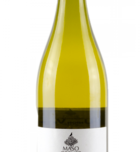 Bianco Vigneti delle Dolomiti IGT 2021