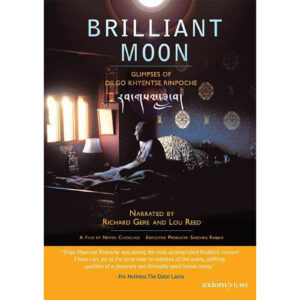 Brilliant Moon