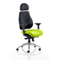 Chiro Plus Posture Chair Ultimate With Headrest Swizzle Col