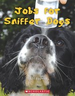 Connectors Turquoise Jobs for Sniffer Dogs x 6