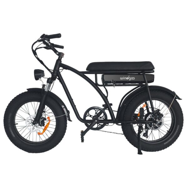 F5 20 x 40 Inch Off Road E Bike