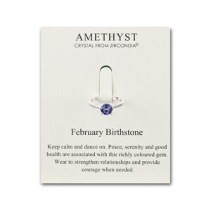 February Amethyst Adjustable Birthstone Ring Created with Zircondia® Crystals