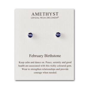 February Amethyst Birthstone Earrings Created with Zircondia® Crystals