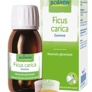 Ficus carica macerato glicerico 60 ml boiron srl