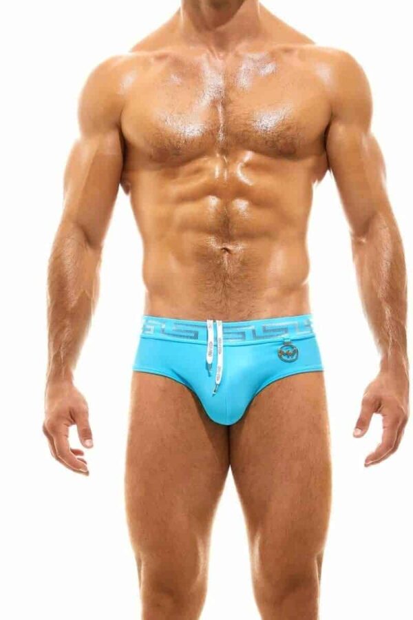 Modus Vivendi Glam Meander Swim Brief GoldSilver Foil Print Aqua Greek Key Nylon M