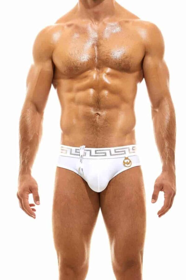 Modus Vivendi Glam Meander Swim Brief GoldSilver Foil Print White Greek Key Nylon XL