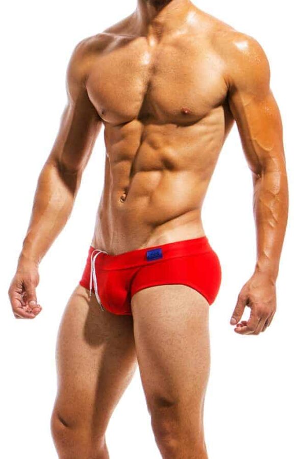 Modus Vivendi Mens Swim Brief Red Nylon S