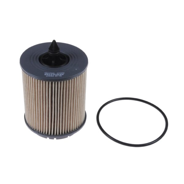 Oil Filter ADA102108 by Blue Print Single