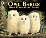 Owl Babies