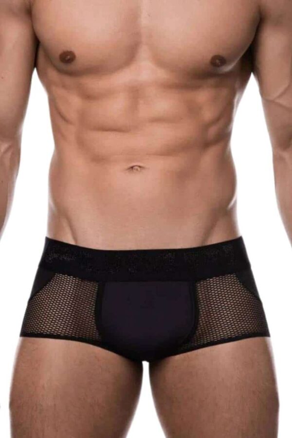 PUMP Underwear Switch Semi See Through Mesh Backless Access Trunk Black NylonSheer Mesh XL