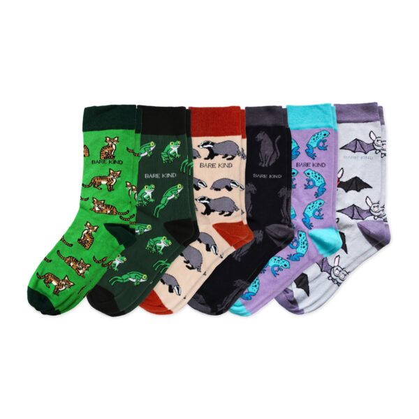 Paintbox Bundle of 6 Bamboo Sock Set | UK Adult 7 11