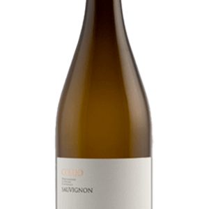 Sauvignon Collio DOC