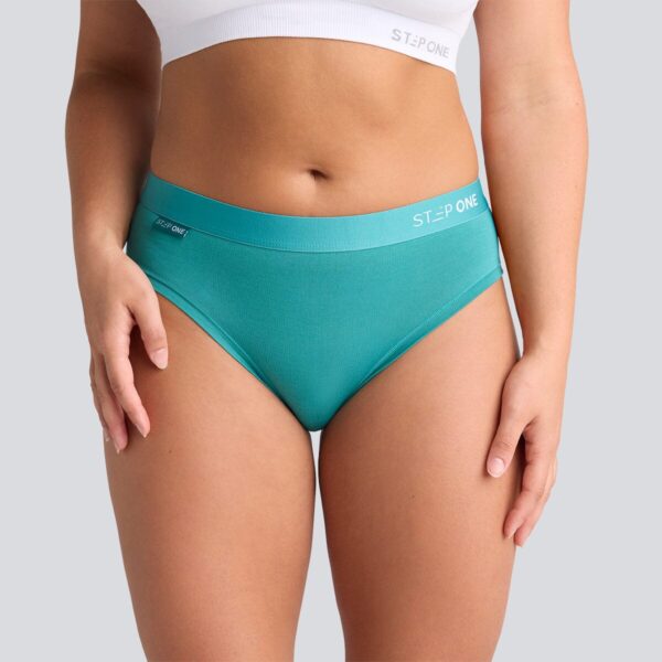 Womens Bikini Brief Green Slate