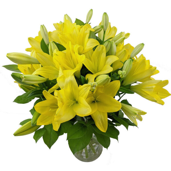 Yellow Lilies